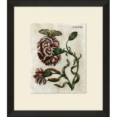 Wendover Art Group Crackled Insect Collection 6 - Picture Frame Painting On Paper In Green;red;beige