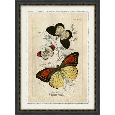 Wendover Art Group Crackled Jardine Butterfly Ii - Picture Frame On Paper In Black;red;beige