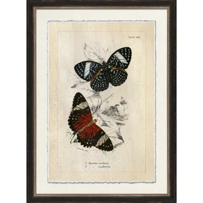 Wendover Art Group Crackled Jardine Butterfly Iv - Picture Frame Graphic Art On Glass In Black;beige