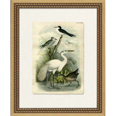 Wendover Art Group Crackled Marsh Birds I - Picture Frame Painting On Paper In White;green;gray