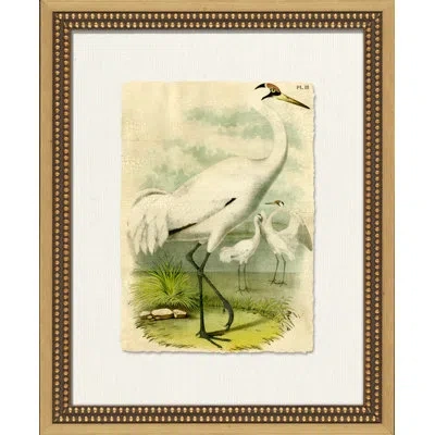 Wendover Art Group Crackled Marsh Birds Ii - Picture Frame Painting On Paper In White;green