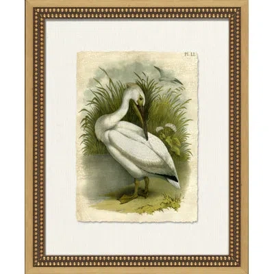 Wendover Art Group Crackled Marsh Birds Iii - Picture Frame Painting On Paper In White;green