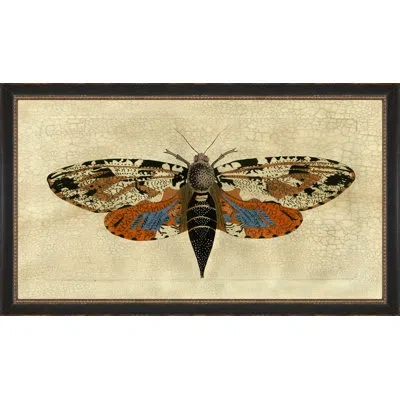 Wendover Art Group Crackled Moth 5 - Picture Frame Painting On Paper In Black;beige;orange