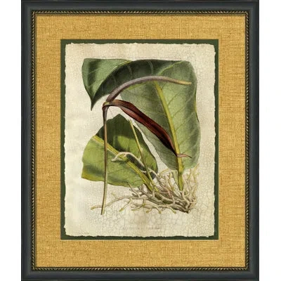 Wendover Art Group Crackled Tropical Foliage Ii - Picture Frame Painting On Paper In Green;beige