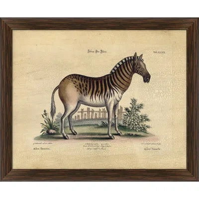 Wendover Art Group Crackled Zebra I - Picture Frame Graphic Art On Paper In Brown;beige