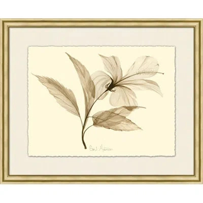 Wendover Art Group Crocus - Picture Frame Painting On Paper In Gray;cream;light Brown