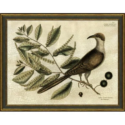 Wendover Art Group Cuckoo Of Carolina - Picture Frame Painting On Paper In Brown;green;beige