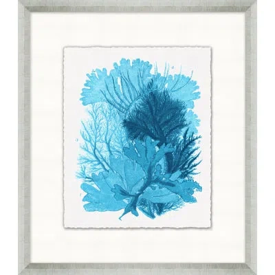 Wendover Art Group Cyan Coral Collection 1 - Picture Frame Painting On Paper In Blue;white