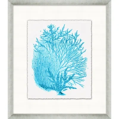 Wendover Art Group Cyan Coral Collection 5 - Picture Frame Painting On Paper In Blue;white