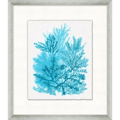 Wendover Art Group Cyan Coral Collection 6 - Picture Frame Painting On Paper In Blue;white