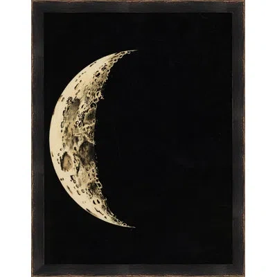 Wendover Art Group Cycle Of The Moon 1 - Picture Frame Graphic Art On Paper In Black;beige