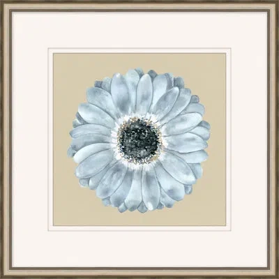 Wendover Art Group Daisy 1 - Picture Frame Painting On Paper In Black;gray;taupe