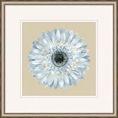 Wendover Art Group Daisy 2 - Picture Frame Painting On Paper In Blue;taupe
