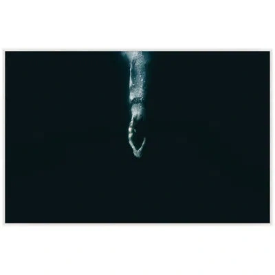 Wendover Art Group " Dark Dive " In Blue,black,white