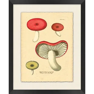 Wendover Art Group Deco Fungus 1 - Picture Frame Print On Paper In Red