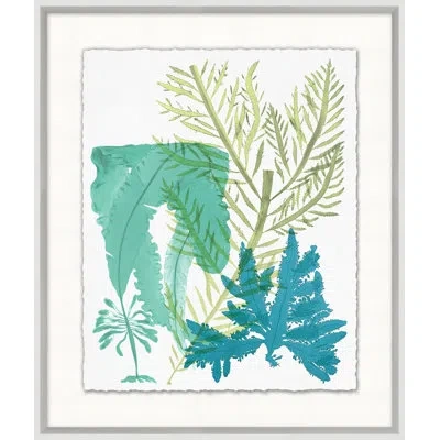 Wendover Art Group Deep Sea Kelp 6 - Picture Frame Painting In Multi