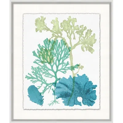 Wendover Art Group Deep Sea Kelp 7 - Picture Frame Painting In Multi