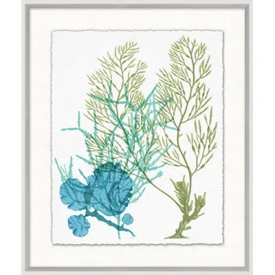 Wendover Art Group Deep Sea Kelp 9 - Picture Frame Painting In Multi