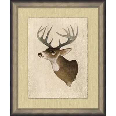 Wendover Art Group Deer Head 2 - Picture Frame Graphic Art On Paper In Brown
