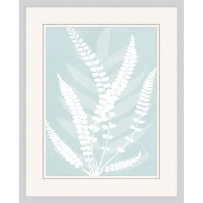 Wendover Art Group Delicate Fern Assimilation 3 - Picture Frame Painting On Paper In Blue;white