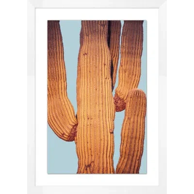 Wendover Art Group Desert Cactus 2 By Christopher Kennedy - Picture Frame Photograph On Paper In Brown;light Blue