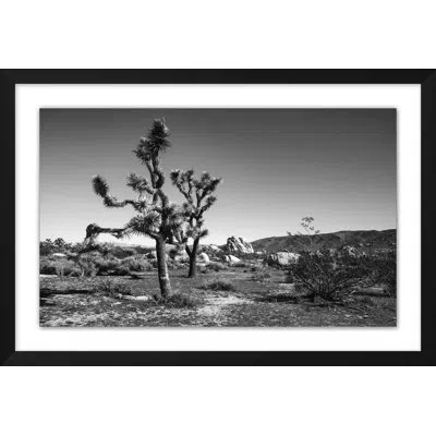 Wendover Art Group Desert Dusk 2 - Picture Frame Photograph Print On Paper In Black;gray
