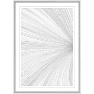 Wendover Art Group Dharmas 2 By Mat Sanders - Picture Frame Painting On Paper In White;gray