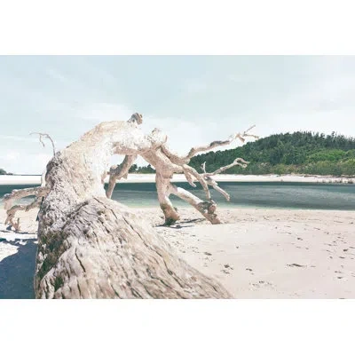 Wendover Art Group Driftwood Perspective In Blue,green,beige
