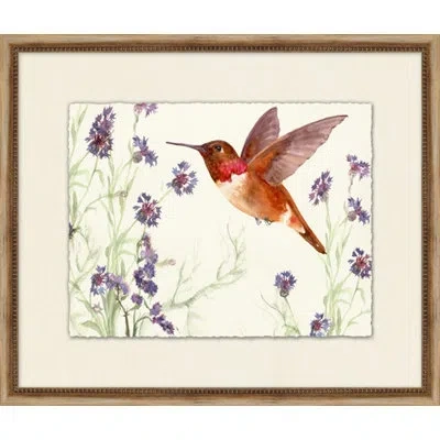 Wendover Art Group Dynamic Humming Bird 1 - Picture Frame Painting On Paper In Green;red;purple