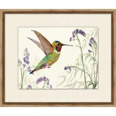 Wendover Art Group Dynamic Humming Bird 2 - Picture Frame Painting On Paper In Brown;green;purple
