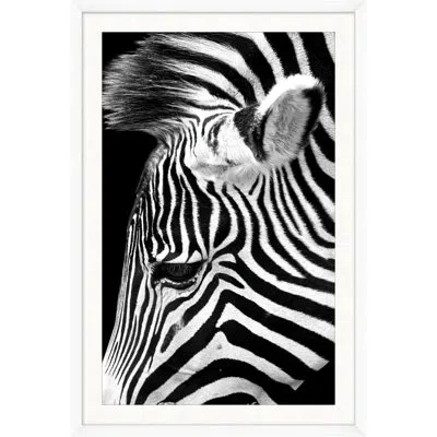 Wendover Art Group Dynamic Zebra 1 By Mat Sanders - Single Picture Frame Photograph In Black;white