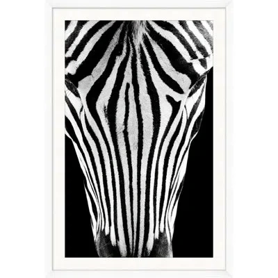 Wendover Art Group Dynamic Zebra 2 By Mat Sanders - Single Picture Frame Photograph In Black;white
