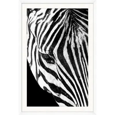 Wendover Art Group Dynamic Zebra 3 By Mat Sanders - Single Picture Frame Photograph In Black;white