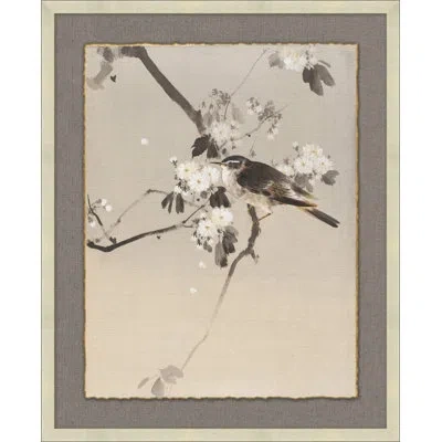 Wendover Art Group Eastern Birds 1 - Picture Frame Drawing Print In White;gray