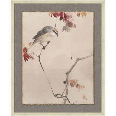 Wendover Art Group Eastern Birds 3 - Floater Frame Painting On Paper In Gray;red