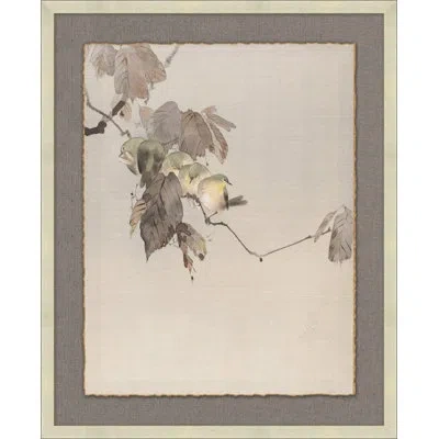 Wendover Art Group Eastern Birds 6 - Floater Frame Painting On Paper In Brown