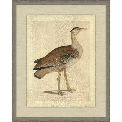 Wendover Art Group Edwards Bustard - Picture Frame Painting On Paper In Brown;beige