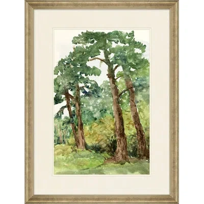Wendover Art Group Enchanted Forest 3 - Picture Frame Painting On Paper In Brown;green