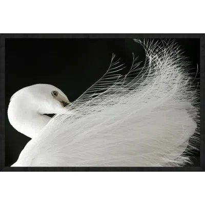 Wendover Art Group Exquisite Egret By Lillian August - Picture Frame Photograph On Paper In Black;white