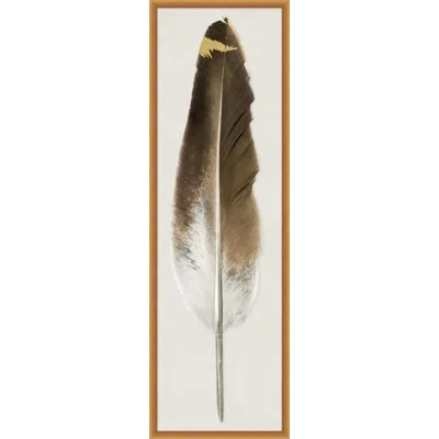Wendover Art Group Feather 2 By Thom Filicia - Picture Frame Panoramic Photograph On Paper In Brown