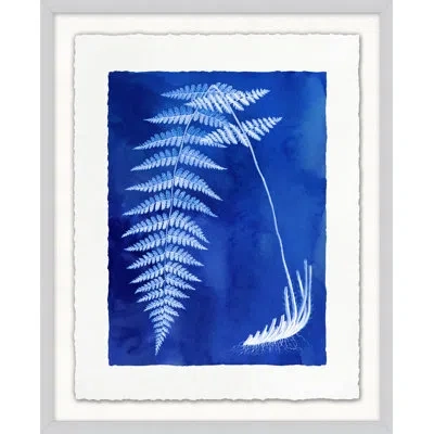 Wendover Art Group Fern Inspiration Indigo 10 By Lillian August - Picture Frame Painting On Paper In Blue;white