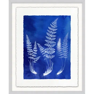 Wendover Art Group Fern Inspiration Indigo 6 By Lillian August - Picture Frame Painting On Paper In Blue;white