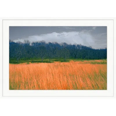 Wendover Art Group Fields Of Color 4 By Lillian August - Shadowbox Painting On Paper In Green;orange;aqua
