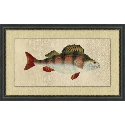 Wendover Art Group Fish Study 4 - Picture Frame Painting In Red