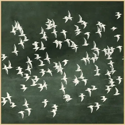 Wendover Art Group Flight Of Passage 2 (green) - Floater Frame Print On Canvas In Green,white