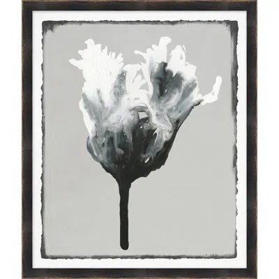 Wendover Art Group Floral Abstraction 1 - Picture Frame Painting Paper In Black;white;gray