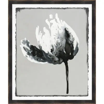 Wendover Art Group Floral Abstraction 4 - Picture Frame Painting On Paper In Black;white;gray