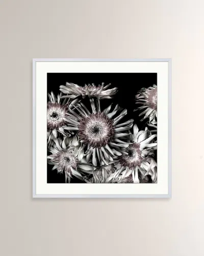Wendover Art Group Floral On Black 1 Giclee Print In Multi