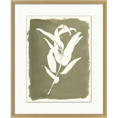 Wendover Art Group Floral Relief 1 - Single Picture Frame Print In Green,white