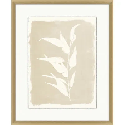 Wendover Art Group Floral Relief 2 - Single Picture Frame Print In Beige,white